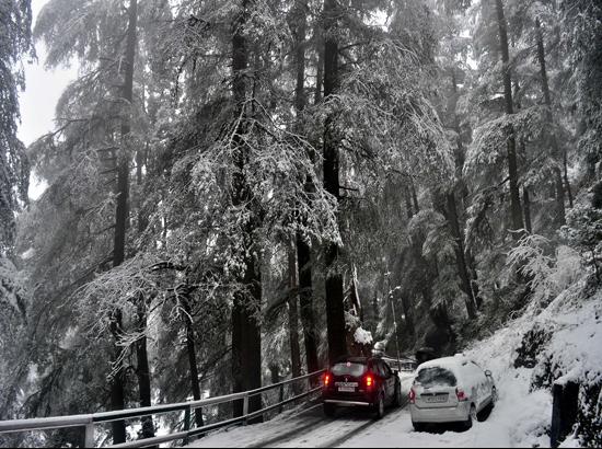 More snow in Shimla, Manali; traffic hampered