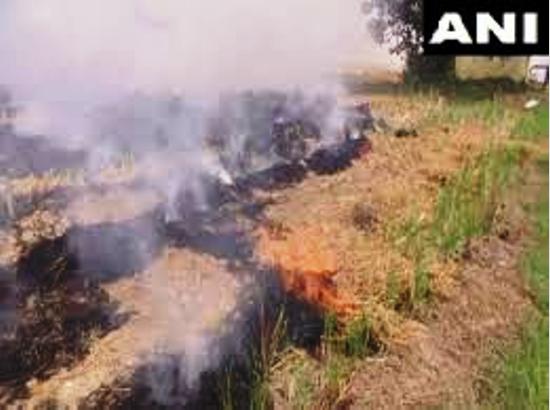 297 stubble burning incidents reported from Punjab from Sept 21 to 25, 100 more than last year