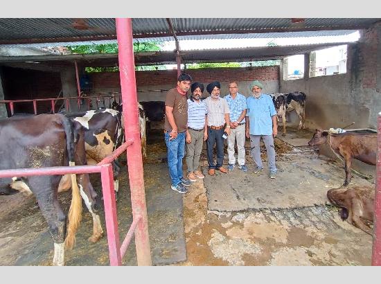 Animal Husbandry Department Pressed 19 Veterinary Teams into service to  Treat and Sensitise the Residents of Lumpy Skin Disease