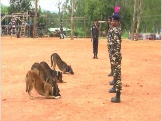 100 new dogs to give more teeth to CRPF in anti-insurgency operations