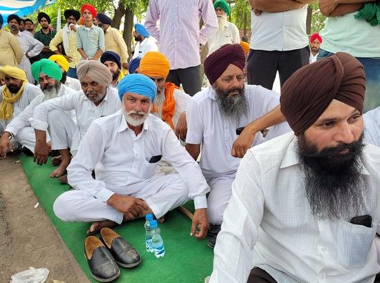 Punjab Dairy farmers end protest after assurance from government (Watch Video also)