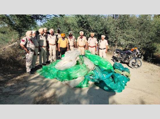 32,000  ltrs ‘lahan’ recovered and destroyed to avoid its misuse