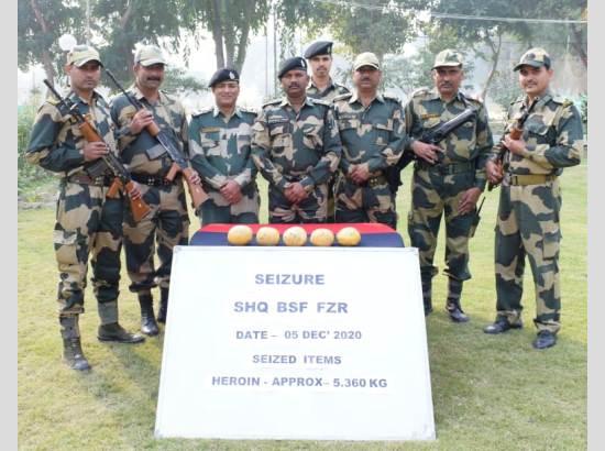 BSF seizes 486 kg heroin during 2020 from near Punjab border