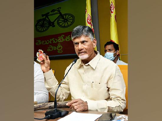 Chandrababu Naidu 