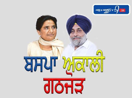 BSP to contest on 20 seats in alliance with SAD ( Watch Video) 