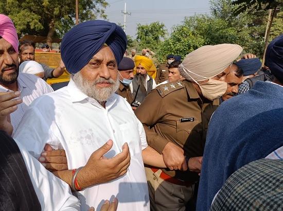 Chandigarh: Sukhbir Badal along with SAD leaders detained (Watch Video)