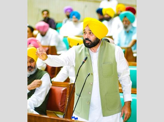 No river pollution to be allowed in proposed Textile Park at Koom Kalan: Bhagwant Mann