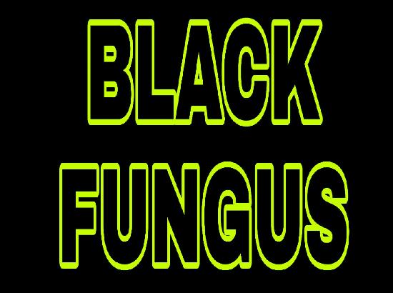 Delhi reports 1,044 Black Fungus cases, 89 deaths so far