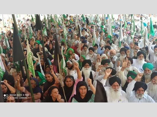 'Nationwide Black Day' observed in Kisan Morchas of Punjab on call of Kisan Morcha