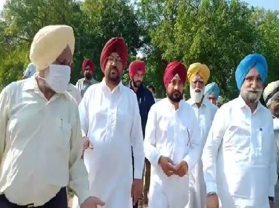 Channi takes stock of crop destroyed due to pink bollworm infestation