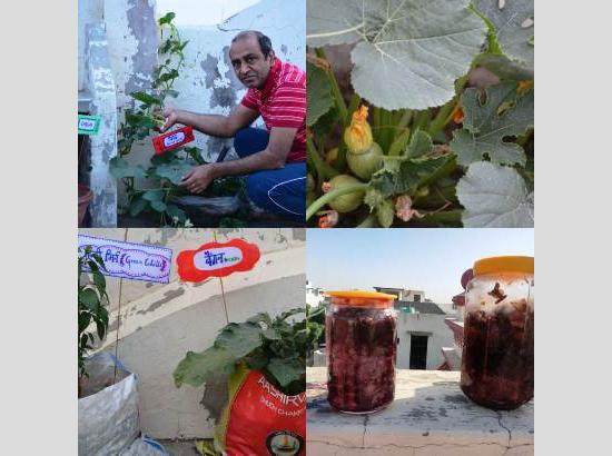 Amid lockdown, Dr.Rajiv utilizes quality time for rooftop organic gardening
