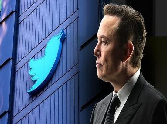 Twitter accounts to be verified with three colors from next week: Elon Musk