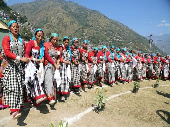 Himachal Pradesh: 8,000 women perform folk dance in International Kullu Dussehra Festival
