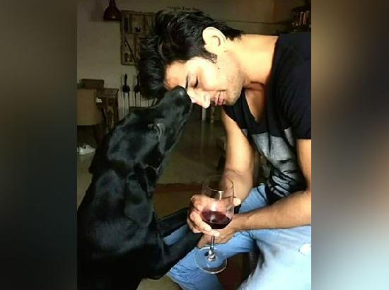 Sushant Singh Rajput's pet Fudge dies, fans say 