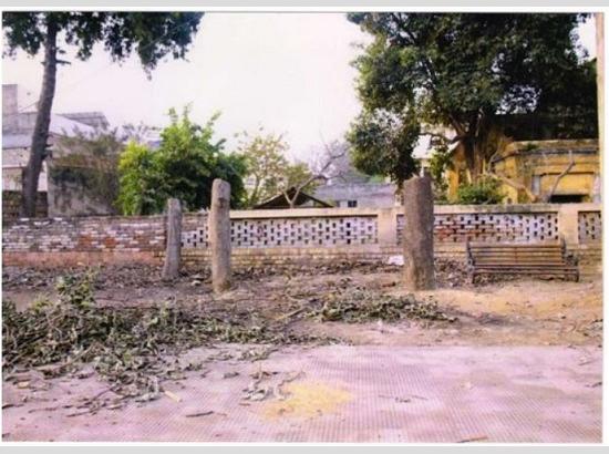 Chandigarh lawyer lodges complaint against illegal felling of trees from Govt School, Samana village