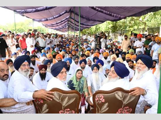 SAD holds dharna on twin issues in Ferozepur –compensation to flood hit farmers, increase in drug menace