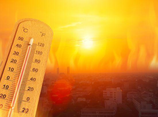 Punjab braces for intense heat; rain may bring relief after May 17