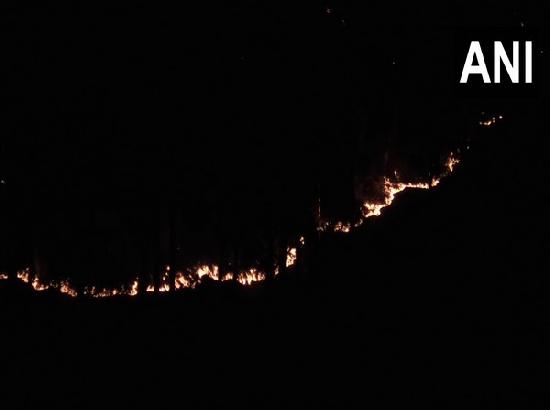 Fire breaks out in Margana forest area in J-K's Udhampur