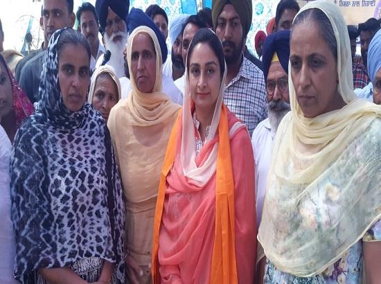 Prove charge that gunny bags diverted to Haryana : Harsimrat to Amarinder

