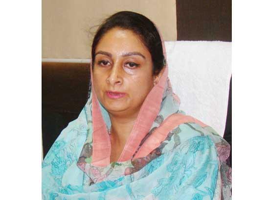 Harsimrat asks government to speed up lifting of wheat 