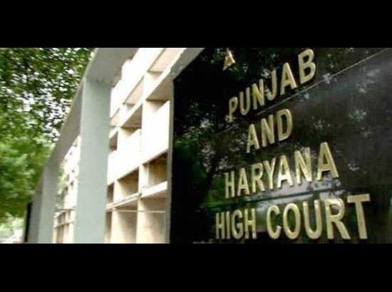 Court Recruitment Judgement Punjab And Haryana High Court Punjab