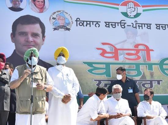 Will Amarinder, Rahul undergo quarantine after Balbir Sidhu tests COVID-19 positive?