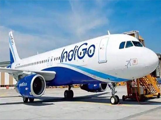 IndiGo says no flight cancellations over Airbus software snag, only slight delays