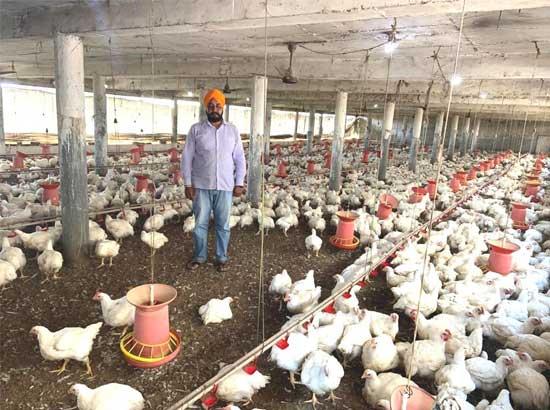 Lockdown shatters State poultry farmers' economy demand bailout package
