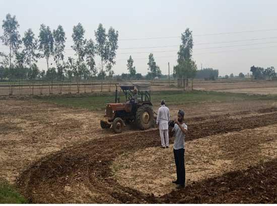 12 acres of cultivable Panchyati land evicted of illegal occupation-Aashika Jain
