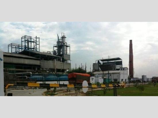 Zira Liquor Factory Case: NGT verdict delayed, Next hearing on Aug 18