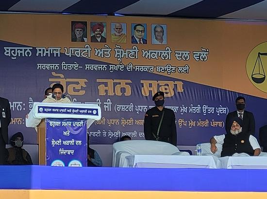 Mayawati attacks Congress over using Dalit CM face in Punjab (Watch Video) 