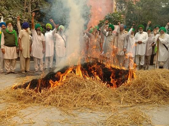Decision of SC of India:  Compensation to be paid to small & marginal farmers who do not burn paddy straw
