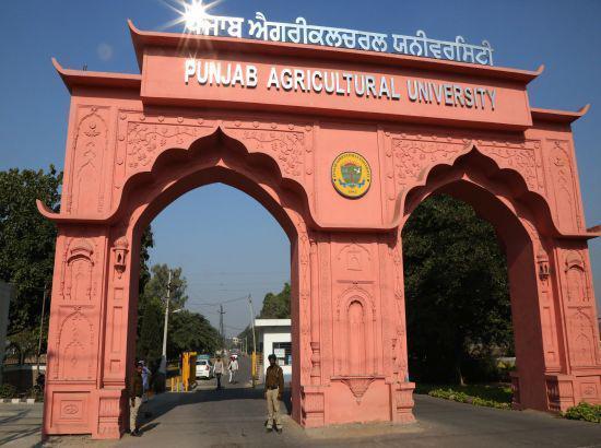 International Conference at PAU: Experts from US and Kenya deliberate on Agri-Food systems