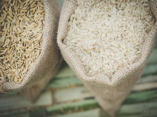 India allows export of non-Basmati white rice to Mauritius