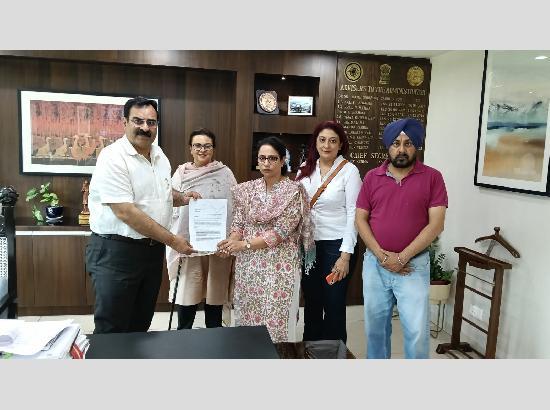 Chandigarh: Environmentalists raise alarm over illegal tree felling, forest land misuse in Rock Garden area