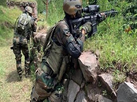 Two terrorists killed in encounter with security forces in J-K's Anantnag