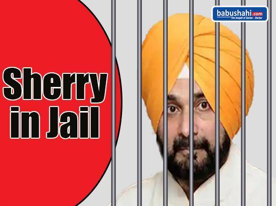 Sidhu's 1-year jail term begins, now behind bars 