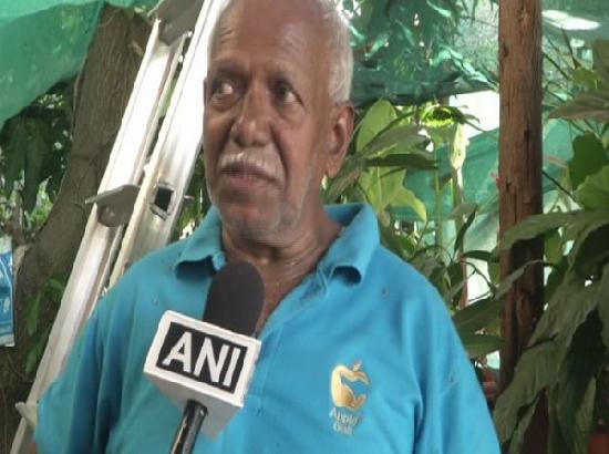 Retired K'taka Horticulture officer grafts over 20 varieties of mangoes on a tree