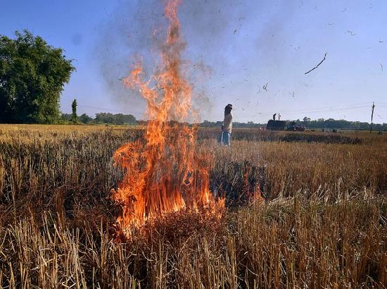Punjab Govt all set to control stubble burning
