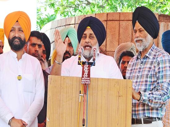 Why Amarinder is so upset and peeved at the removal of Kunwar Vijay Partap from the SIT by the EC: Sukhbir 
