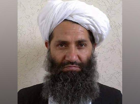 Foreigners should not interfere in Afghanistan's affairs: Taliban