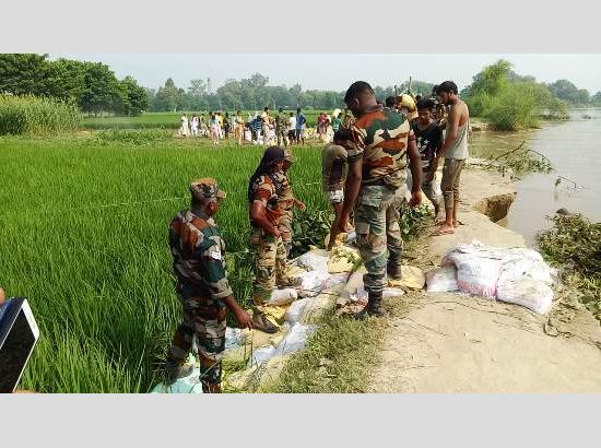Rescue operation on war-footing to plug damaged embankment at Tendiwala in Ferozepur

