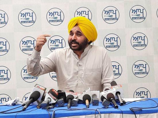 Every child of Punjab knows who is behind the sacrilege case, so why is Captain saving the Badals: Bhagwant Mann