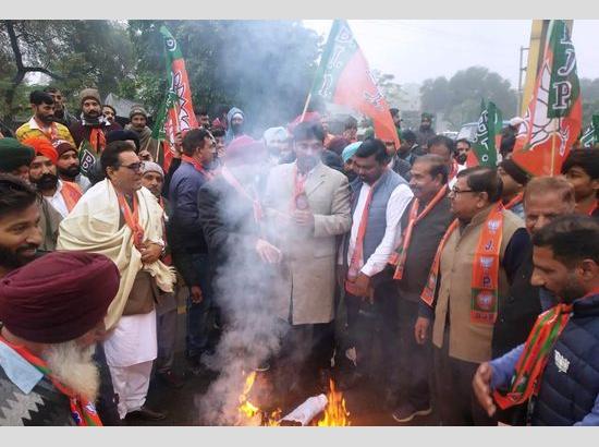 ​PM Security Breach Row: BJP stages protest outside Ferozepur DC office; burns CM Channi's effigy