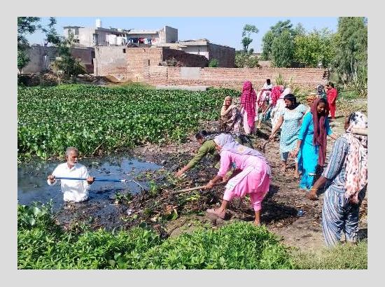 Development projects launched in 258 Gram Panchayats; 7,136 MGNREGA workers engaged in Ferozepur