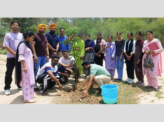 On World Environment Day: 1300 volunteers of 29 groups planted 6200 samplings