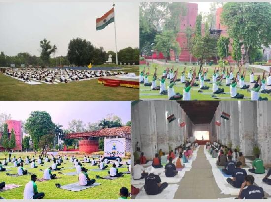 Golden Arrow Division blends heritage and health in border belt Yoga Week celebrations
