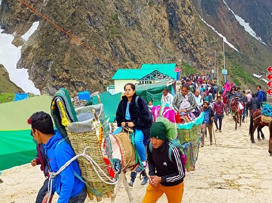 Char Dham Yatra: Environmentalists flag concerns over threat to Uttarakhand's exotic herbs