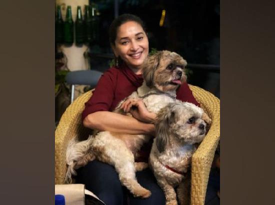 Madhuri Dixit proves she's a true blue 'puppy lover' in latest post