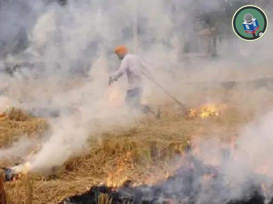 Centre highlights major steps to curb stubble burning, says 90 % reduction achieved in Punjab and Haryana
